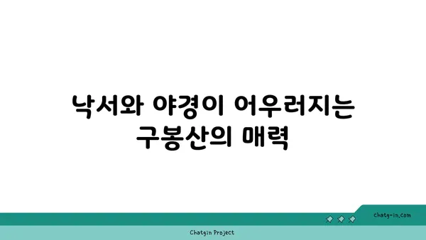 구봉산에서 낙서의 아름다움과 야경을 만끽하기