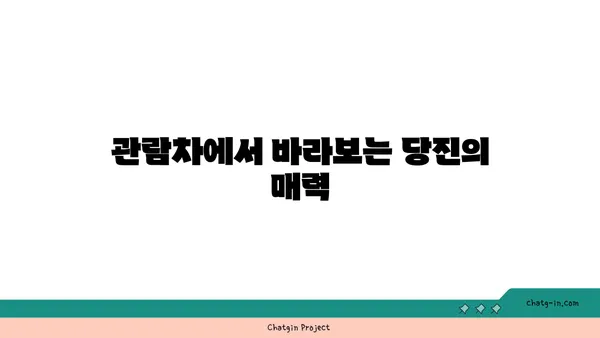 삽교호 놀이동산 관람차: 석양과 야경을 감상하는 당진의 멋진 장소