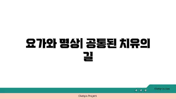 요가와 명상의 차이점 및 공통점