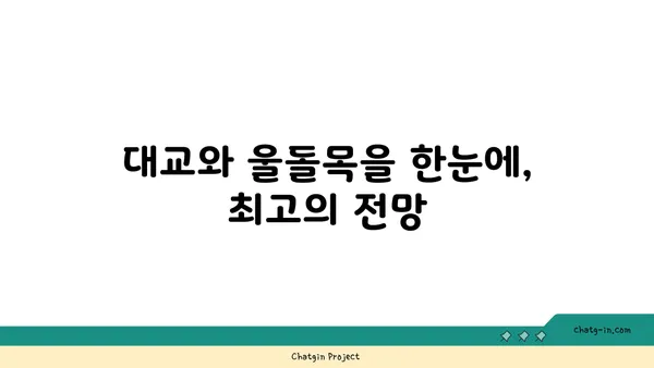진도에서 대교와 울돌목을 바라보며 식사를 즐기는 OCEANVIEW 꿈의세계 카페