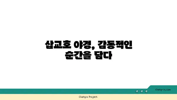 삽교호 놀이동산: 일몰과 야경이 조화를 이루는 관람차