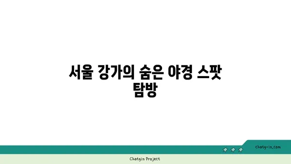 서울 강가의 사진 작품 같은 야경