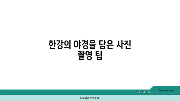 한강의 반짝이는 야경을 탐험