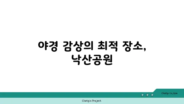 낙산공원에서 서울의 야경을 한눈에 감상하기
