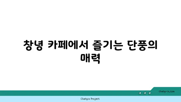 창녕의 아름다운 단풍과 야경을 감상할 수 있는 카페