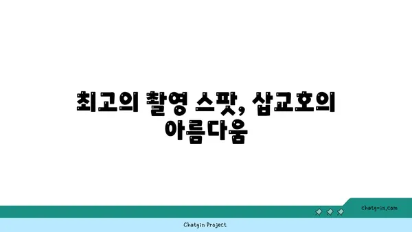 삽교호 놀이동산 관람차: 석양과 야경을 감상하는 당진의 멋진 장소