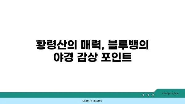 블루뱅: 황령산 전망대에서 야경을 만끽하는 부산 카페