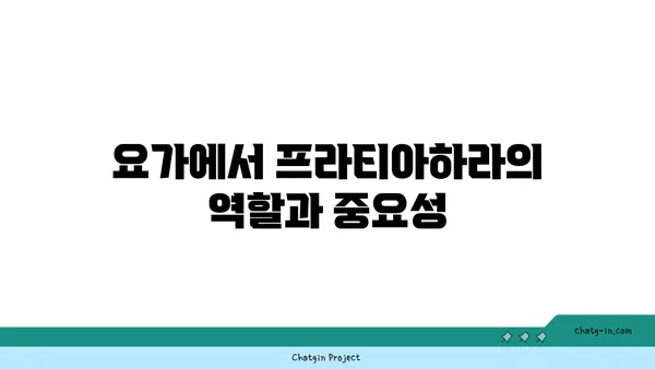 요가의 철학적 개념인 프라티아하라