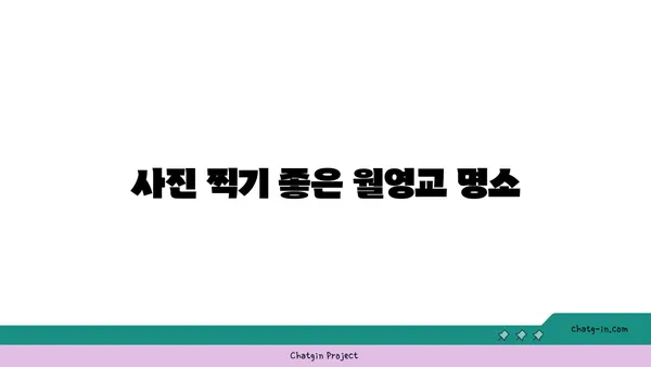 안동의 야경 명소, 월영교