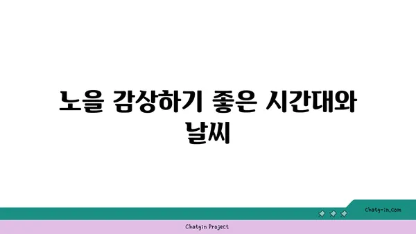 충남 공주에서 바라보는 노을의 명소: 청벽산 전망대