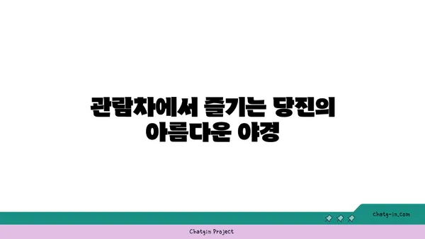 삽교호 놀이동산 관람차: 일몰과 야경을 모두 만끽하는 당진 명소