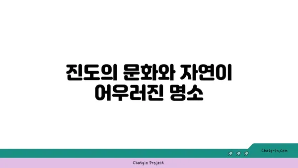 진도에서 오CEANVIEW 꿈의 세계 카페에서 울돌목과 대교의 전경을 즐기세요.
