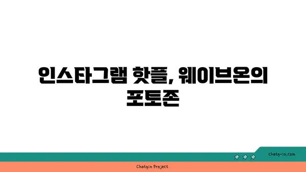 웨이브온: 기장에서 보는 야경이 매력적인 카페
