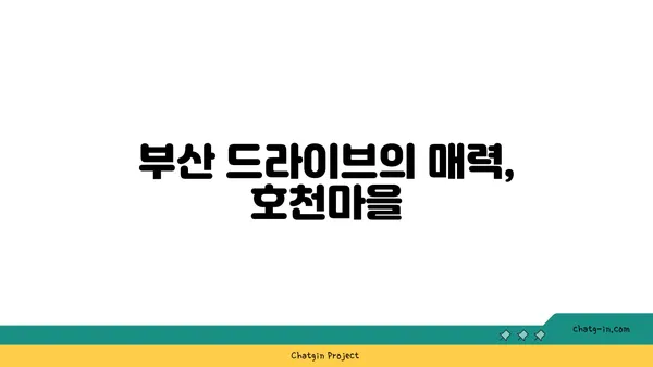 호천마을에서 경험하는 부산의 드라이브 야경