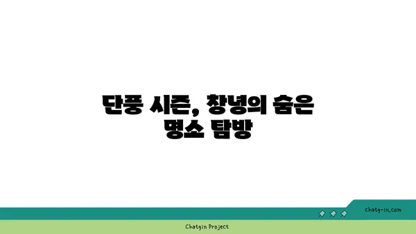 창녕 알리스타 케냐 커피점, 단풍과 야경의 조화