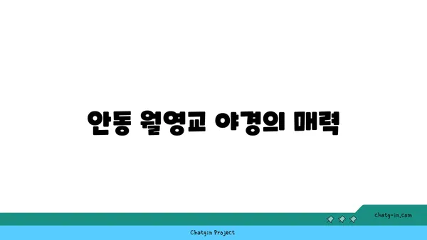 안동 월영교에서 야경 감상하기