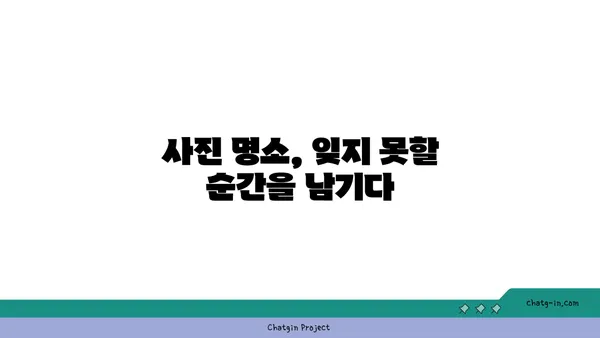 진도에서 대교와 울돌목을 바라보며 식사를 즐기는 OCEANVIEW 꿈의세계 카페