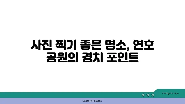 연호 공원의 아름다운 야경과 자연경관