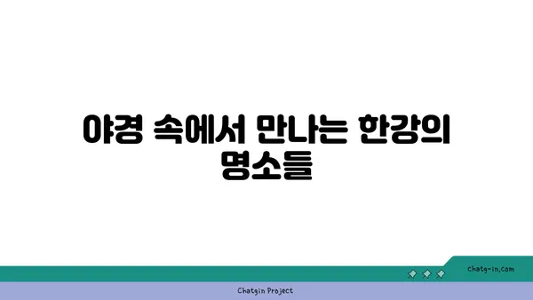 한강의 반짝이는 야경을 탐험