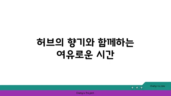 제주 허브동산의 숨 막히는 야경과 족욕 체험