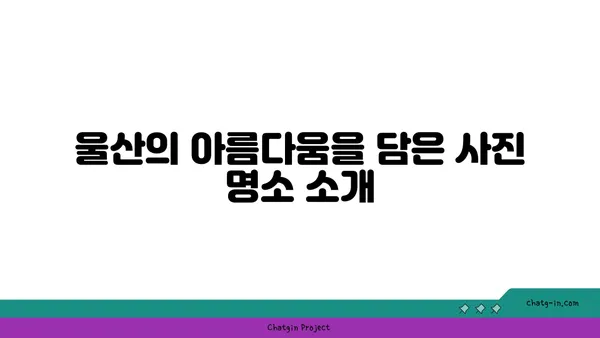 울산 명선도, 야경을 거닐며 울산의 아름다움 탐험