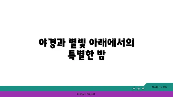 파인힐빌리지, 야경 속 편안한 캠핑 경험
