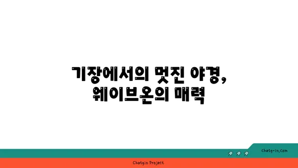 웨이브온: 기장에서 보는 야경이 매력적인 카페