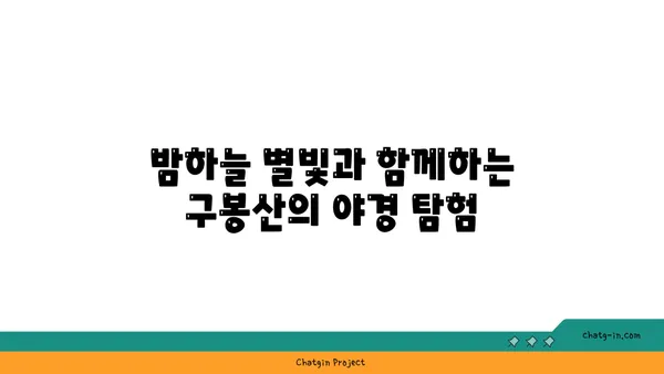 구봉산에서 낙서의 아름다움과 야경을 만끽하기
