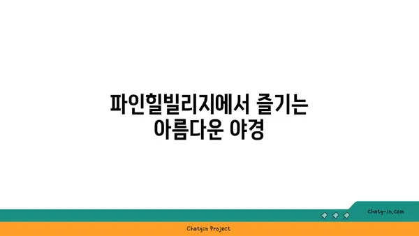 파인힐빌리지, 야경 속 편안한 캠핑 경험