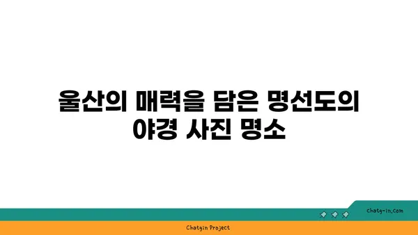 울산의 숨막히는 야경을 만나는 명선도