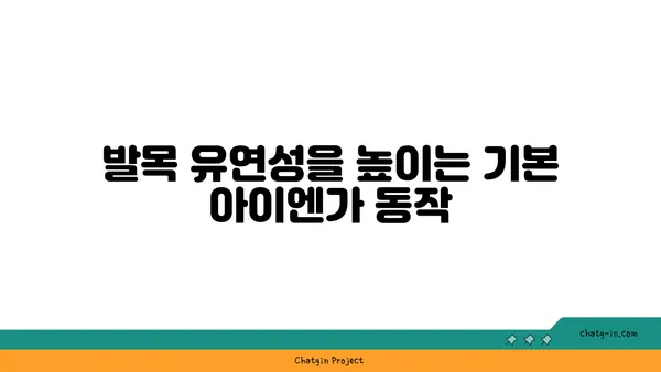 발목 유연성 강화를 위한 아이엔가 요가 동작