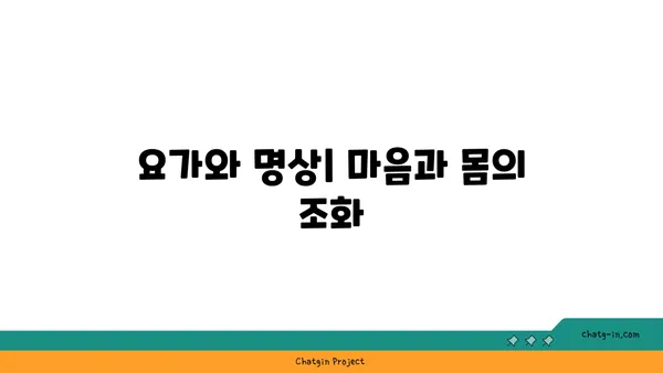요가와 명상의 통합
