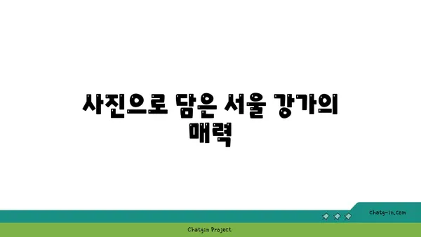 서울 강가의 사진 작품 같은 야경