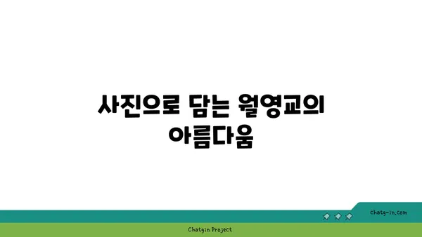 안동 월영교: 야경이 환한 안동의 상징