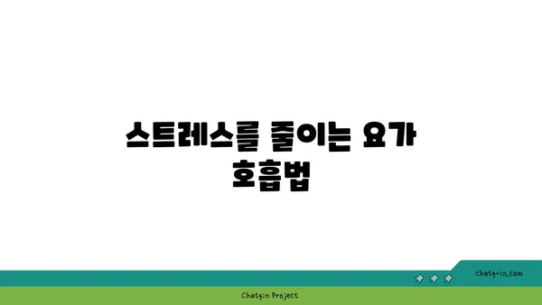 30대 여성을 위한 균형 잡힌 요가 루틴