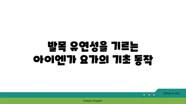 발목 유연성 강화를 위한 아이엔가 요가 스트레칭