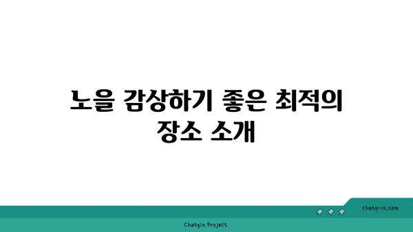 산토리니 카페: 노을과 야경을 즐기는 춘천의 명소