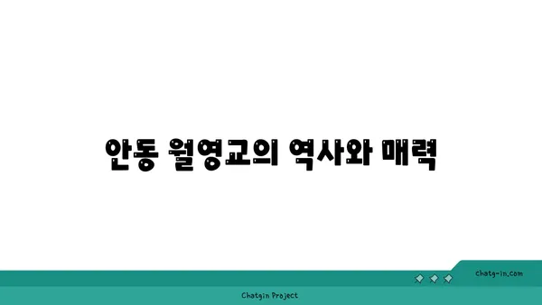 안동 월영교: 야경이 환한 안동의 상징