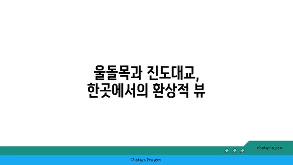 울돌목과 진도대교를 한눈에 조망하는 OCEANVIEW 꿈의 세계 카페