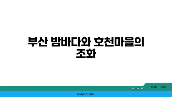 호천마을에서 경험하는 부산의 드라이브 야경