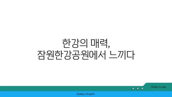 잠원한강공원: 야경 속 편의점 텐트와 서울의 절경