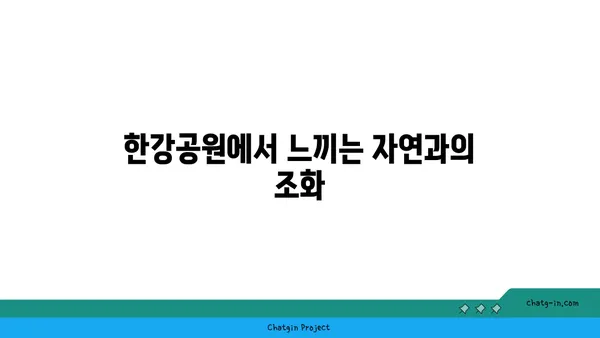 한강변에서 즐기는 마법 같은 전망