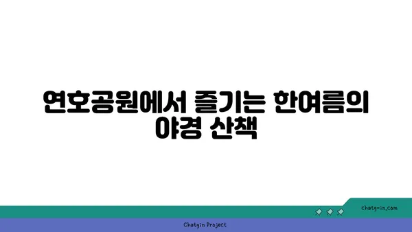 연호공원: 야경 산책을 위한 꽃과 전망