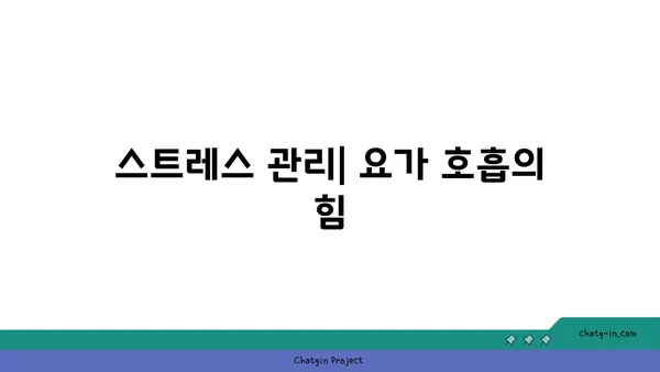 요가의 호흡법으로 내면의 집중력 높이기