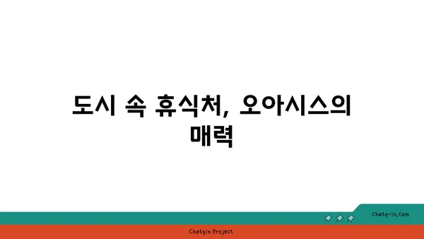 도시의 불빛 가운데 떠 있는 오아시스
