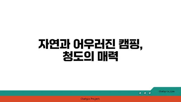 별빛 쏟아지는 하늘과 야경이 아름다운 청도 렛츠캠핑