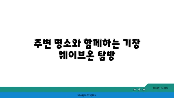 기장 웨이브온: 부산의 야경을 즐기는 매력적인 카페