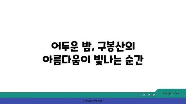 구봉산에서 낙서의 아름다움과 야경을 만끽하기