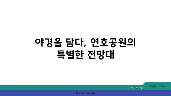 연호공원: 야경 산책을 위한 꽃과 전망