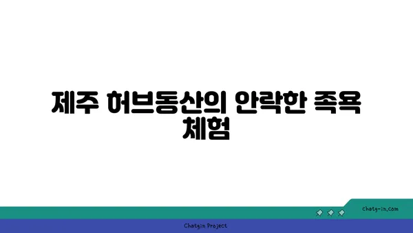 제주 허브동산에서 족욕과 멋진 야경